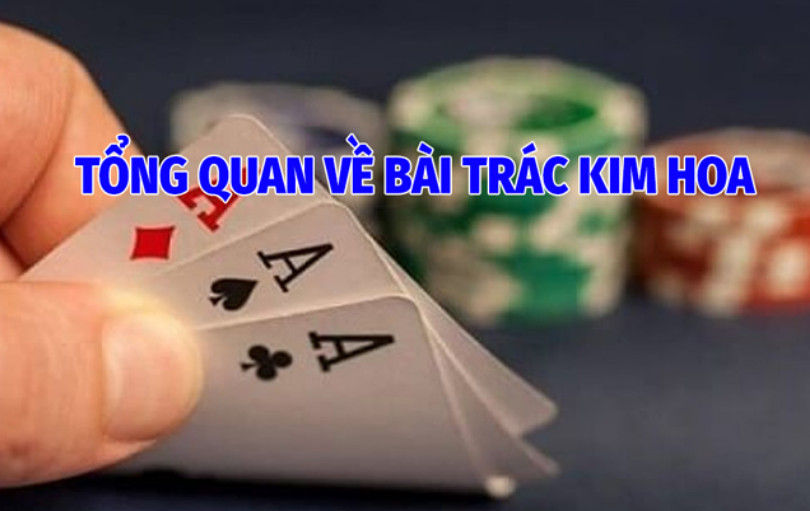 Tổng Quan Về Bài Trác Kim Hoa 123b