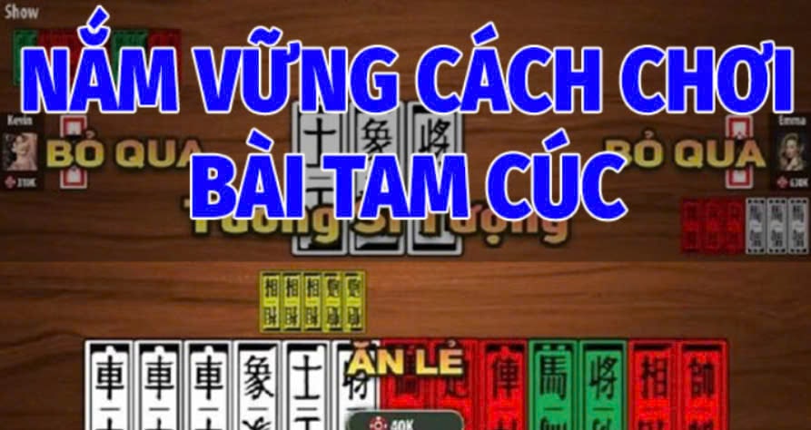 Nắm Vững Cách Chơi Bài Tam Cúc 123b  Cơ Bản